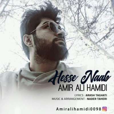 امیر علی حمیدی حس ناب